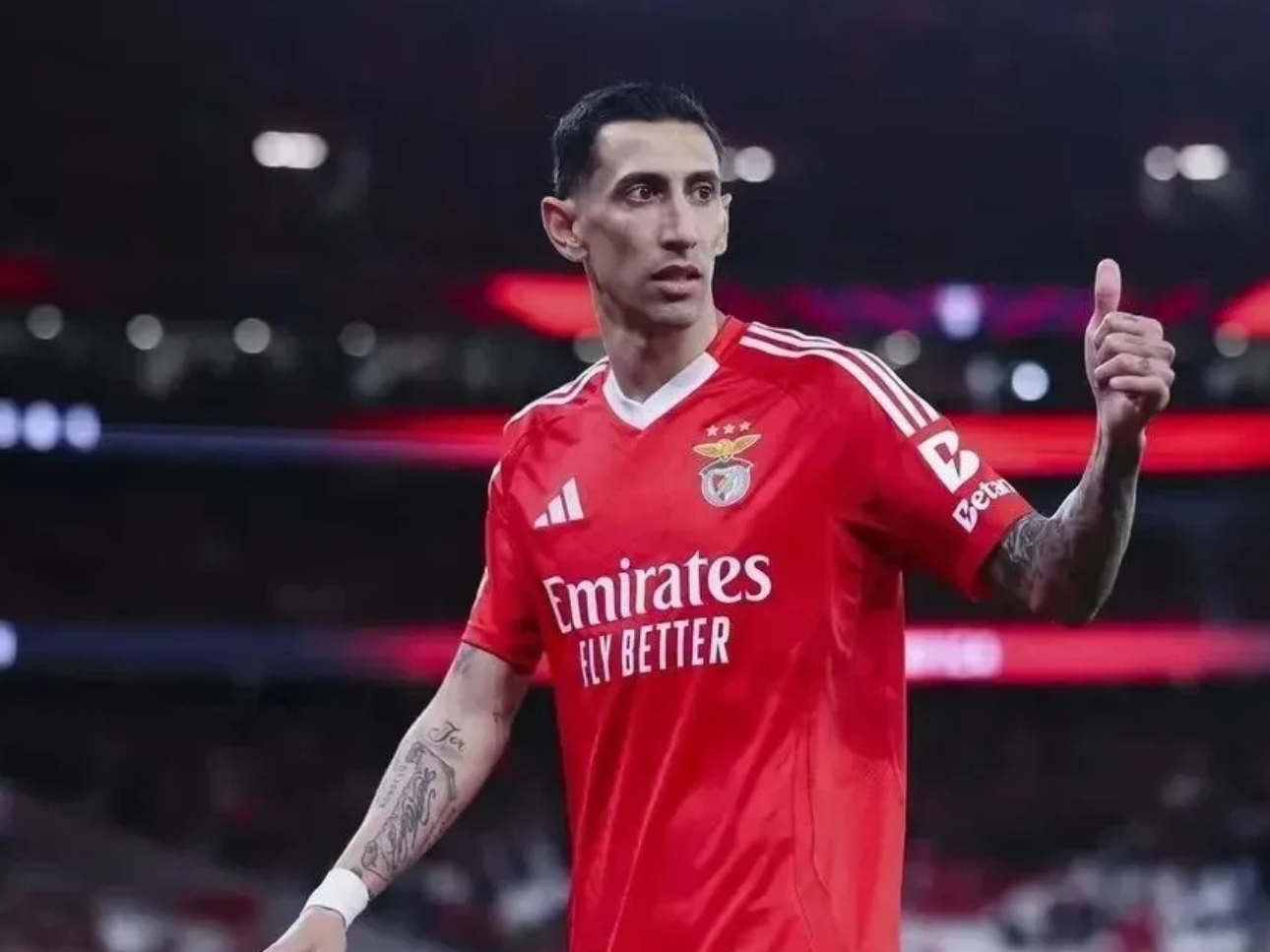 关键时刻意大利杯焦点战,本菲卡绝杀压哨,信心回归,身体对抗强度拉满 关键时刻意大利杯焦点战,本菲卡绝杀压哨,信心回归,身体对抗强度拉满